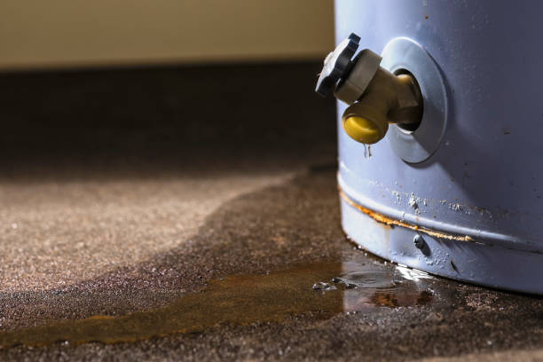 Best Flooded house restoration  in Picture Rocks, AZ