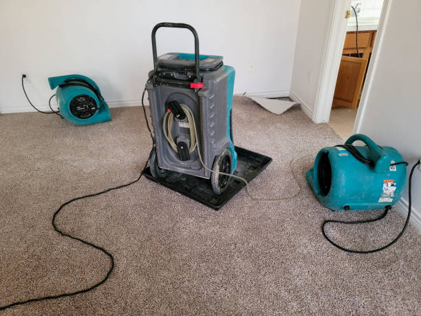 Best Water damage restoration near me  in Picture Rocks, AZ