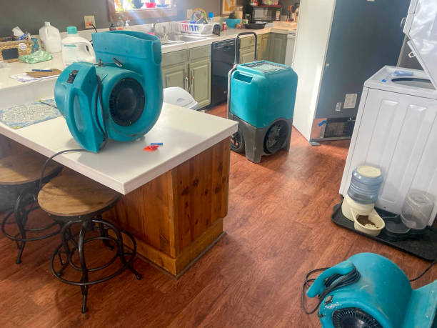 Best Basement water damage restoration  in Picture Rocks, AZ