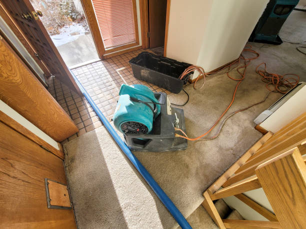 Best Ceiling water damage repair  in Picture Rocks, AZ