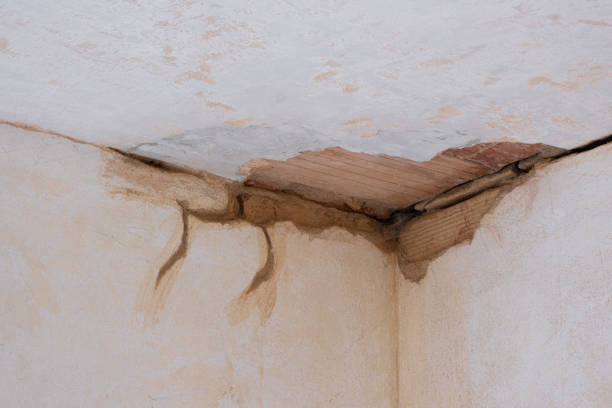 Best Flood restoration services  in Picture Rocks, AZ