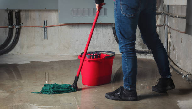 Best Water damage restoration near me  in Picture Rocks, AZ