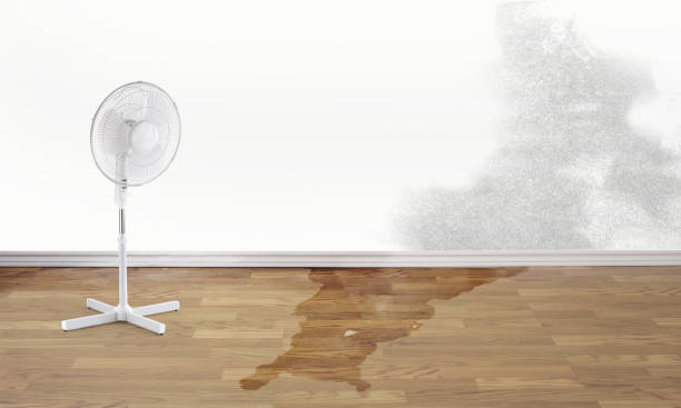 Best Residential water damage restoration  in Picture Rocks, AZ