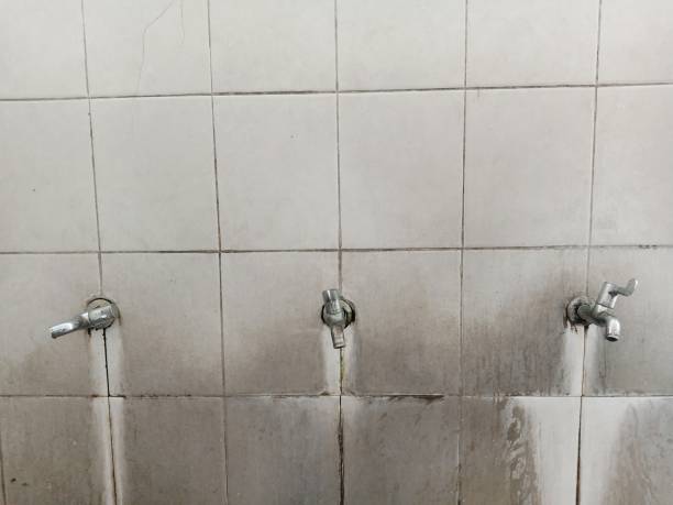 Best Local water damage restoration  in Picture Rocks, AZ