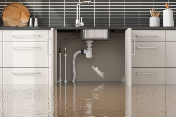 Best Sewage cleanup and water damage restoration  in Picture Rocks, AZ