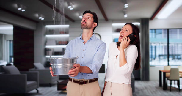 Trusted Picture Rocks, AZ Water damage restoration Experts
