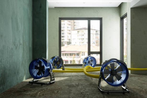 Best 24/7 water damage repair  in Picture Rocks, AZ