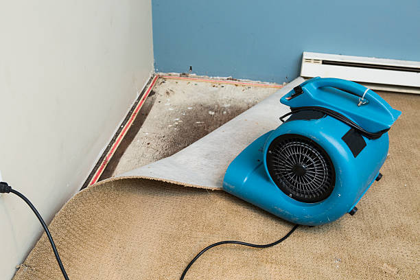 Best Flood damage cleanup  in Picture Rocks, AZ