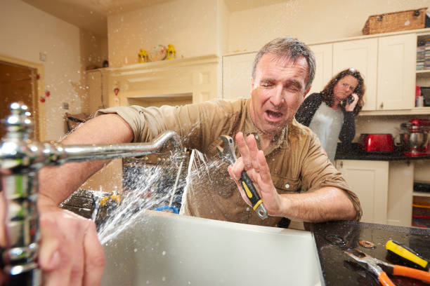 Best Water damage restoration specialists  in Picture Rocks, AZ